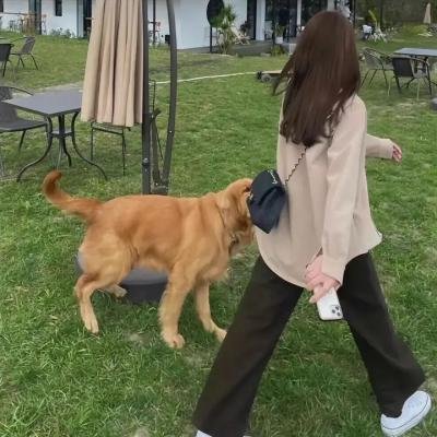 约会规则第二季