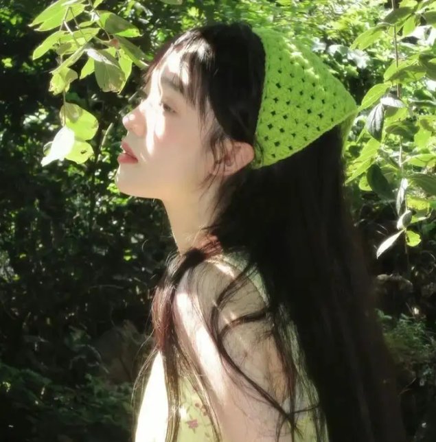 利剑玫瑰